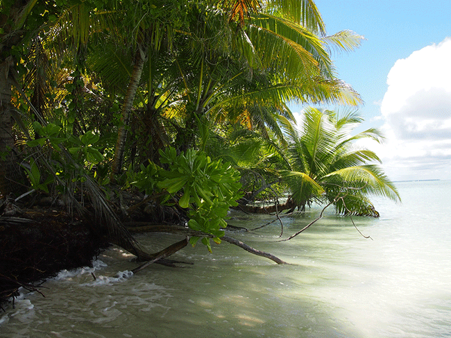 Island erosion