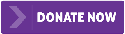 Donate now button